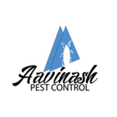 Tips for Finding the Best Pest Control Service 