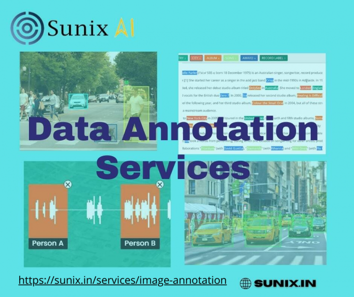  Top Data Annotation Services - Sunix AI