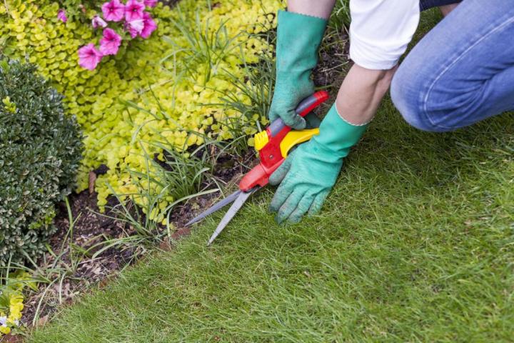 Looking For Professional Landscapers Near Me? Call Us!!