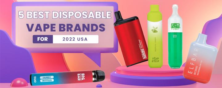 5 Best Disposable Vape Brands for 2022 USA