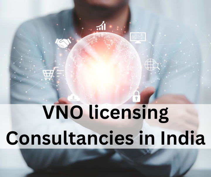 Seeking out VNO License consultants for procuring License in In