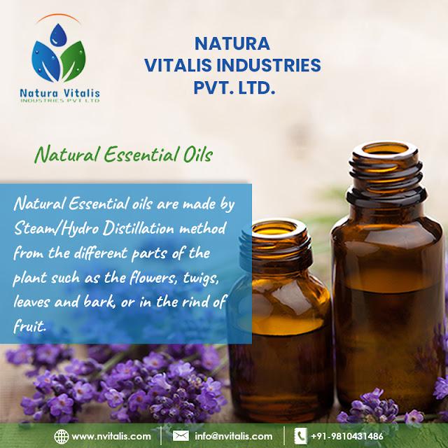 Essential Oils Manufacturers from India | Natura Vitalis