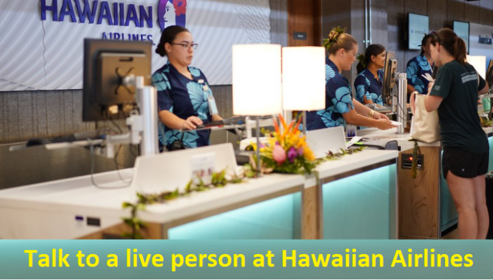 How do I get a hold of Hawaiian Airlines?
