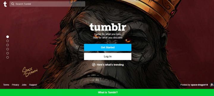Top 11 Tumblr Alternatives Website For You 2020 | SatWiky