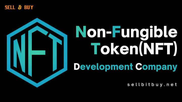 NFT Token Development Company | Non-Fungible Token Development |