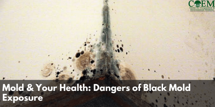 Mold &amp; Your Health: Dangers of Black Mold Exposure