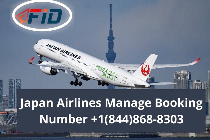 How to Change flight on Japan Airlines?