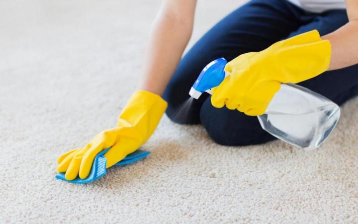 2 Methods Professionals Used For Cleaning Polyester Carpets