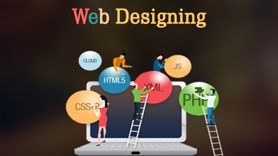 Choose The Best Web Design Company in Hamilton for Your Business